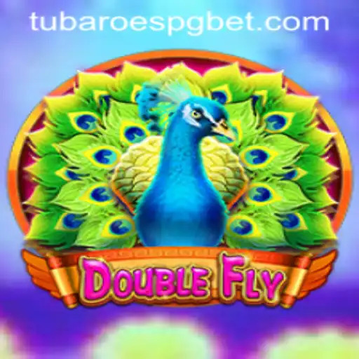 Explorando o Universo de DoubleFly